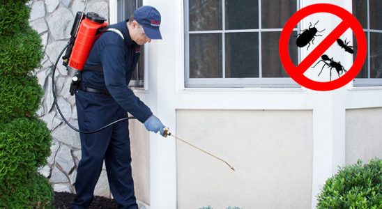 Süloğlu Gümüşkurt İlaçlama böcek ilaçlama ve haşere kontrolü — ilaclama-tr.com